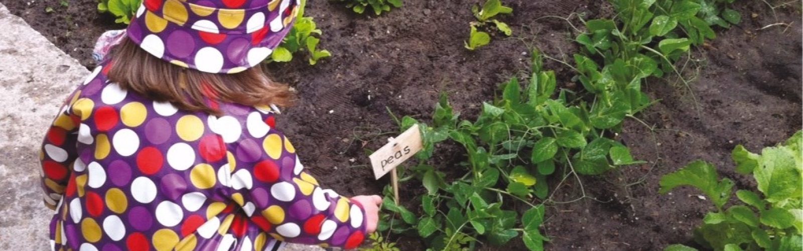 AppleTreeVegetableGarden
